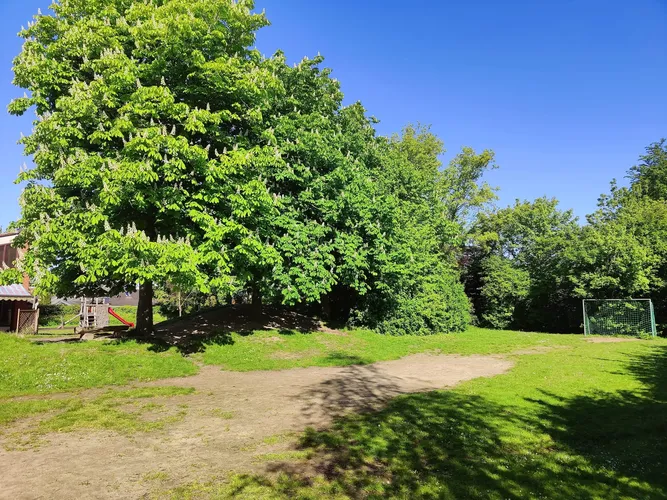Fussballplatz unter Kastanienbäumen
